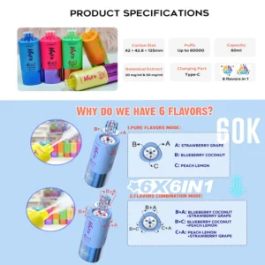 Fizzy Max III 6-in-1 flavor system and combinations